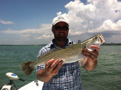 Trout Fishing Clearwater Fl