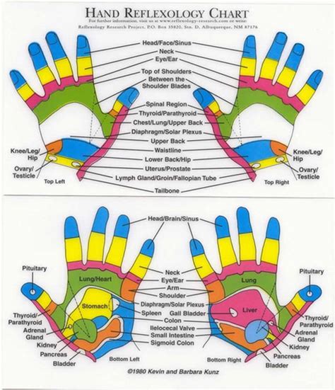 Discover The Power Of Acupressure Charts