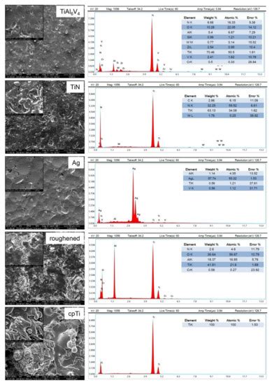 Materials Free Full Text Surface Modifications Of Titanium
