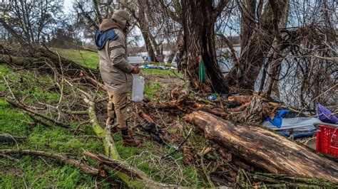 Falling Trees Kill 2 Homeless People In Sacramento Storms Sacramento Bee