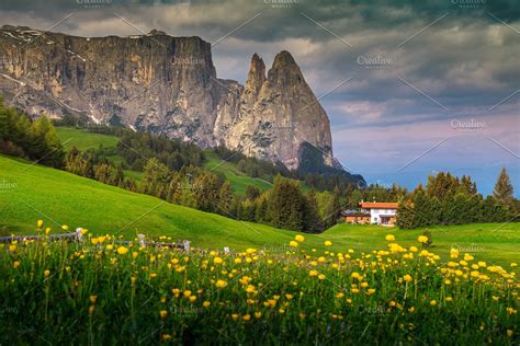 Alpe Di Siusi Resort With Flowers High Quality Nature Stock Photos