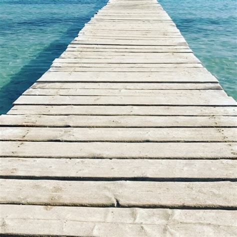 Albufera nature park in playa de muro. Playa de Muro Beach (Spain): Top Tips Before You Go (with ...