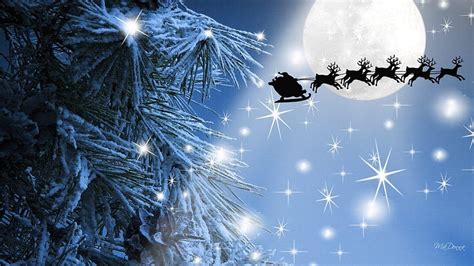 Winter Christmas Reindeer Sky Beam Night Flight Santas Moon Tree