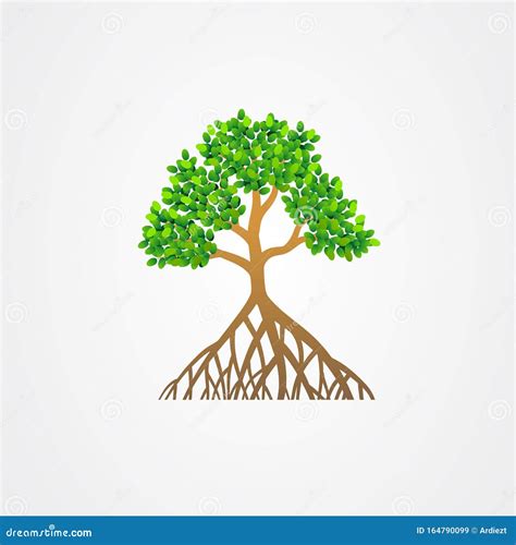 Mangrove Tree Logo Vector Image 226337056