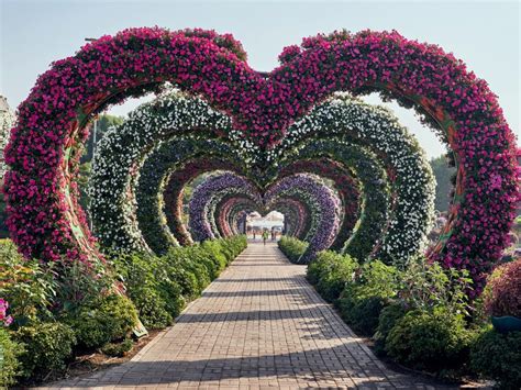 How To Get To Dubai Miracle Garden Try This Bus Route