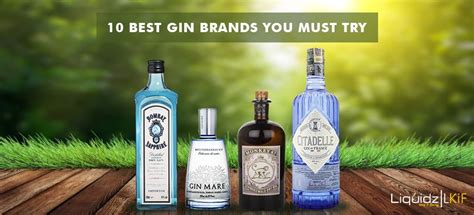 10 Best Gin Brands You Must Try Liquidz