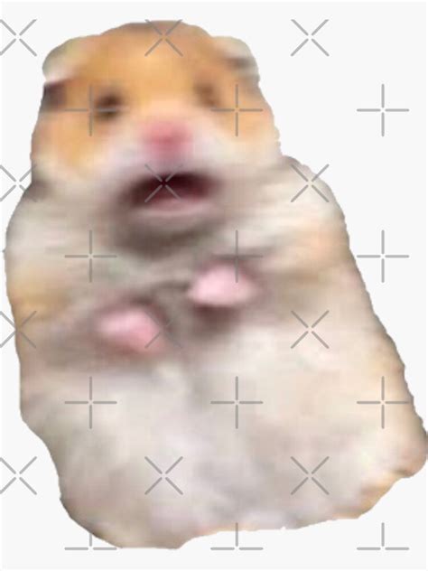 Screaming Hamster Meme Sticker For Sale By James Heath Redbubble