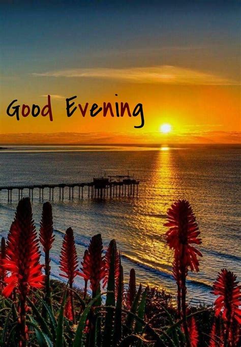 Pin By Lalit Rana On Good Eveningafternoon In 2020 Good Night Wishes
