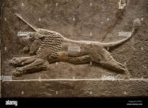 Assyrian Relief Sculpture Panel Of A Lion Being Hunted From Nineveh