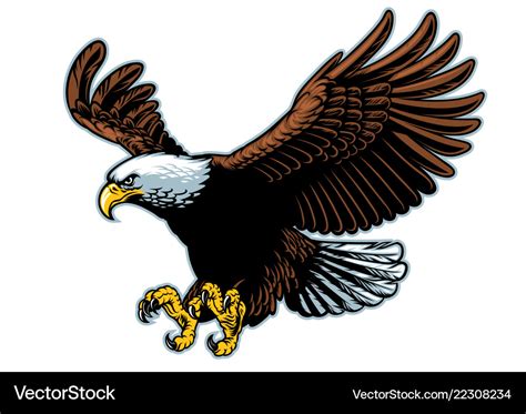 Flying Bald Eagle In Detailed Style Royalty Free Vector