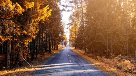 Autumn Road By Artem Saranin