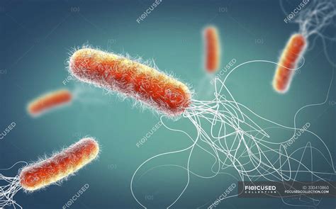 Antibiótico Resistente Pseudomonas Aeruginosa Bactérias Ilustração 3d
