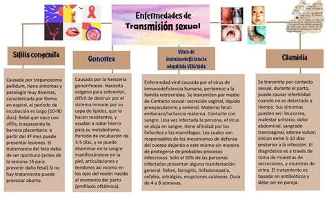 Enfermedades De Transmision Sexual Mapa Conceptual Maria Isabel Palacio Images And Photos Finder