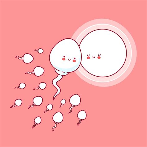 Premium Vector Cute Happy Funny Sperm Cell And Ovum Line Cartoon Kawaii Character