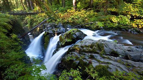 Ol Sol Duc Falls Bridgedp1600 Olympic National Park Trips