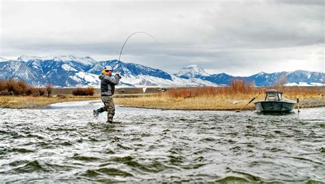 Bozeman Mt Fly Fishing Report 11618 Montana Angling Company