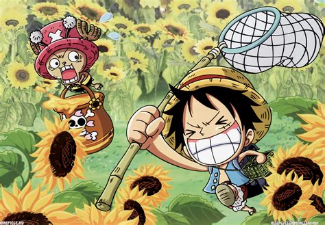 One piece, going merry (one piece), sunny (one piece), thousand sunny. One Piece Wallpapers | Best Wallpapers