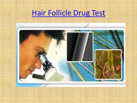 The only shampoo that will help you pass any hair drug test successfully. Hair follicle drug test process and cost