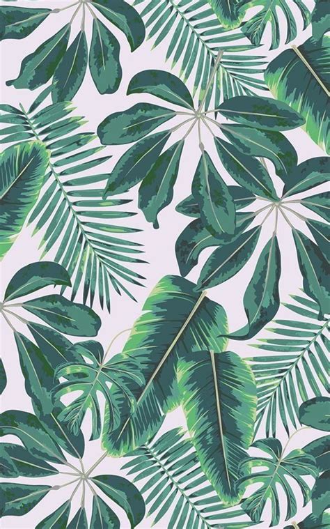 Pin By Morenx On Wallpapers Leaf Wallpaper Tropical
