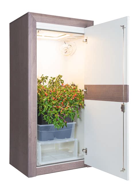 En düşük fiyatlarla kaliteli growschrank led mı arıyorsunuz? Growbox Komplettset - urban Chili 3.0 🌶️ der premium ...