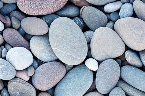 Smooth Stones Stock Photos Pictures And Royalty Free Images Istock