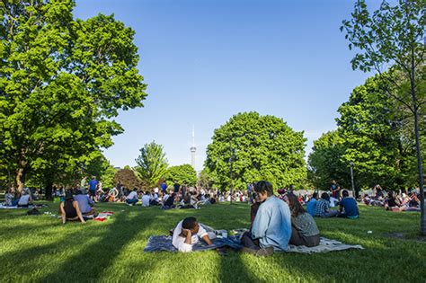 The Top 32 Parks In Toronto By Neighbourhood