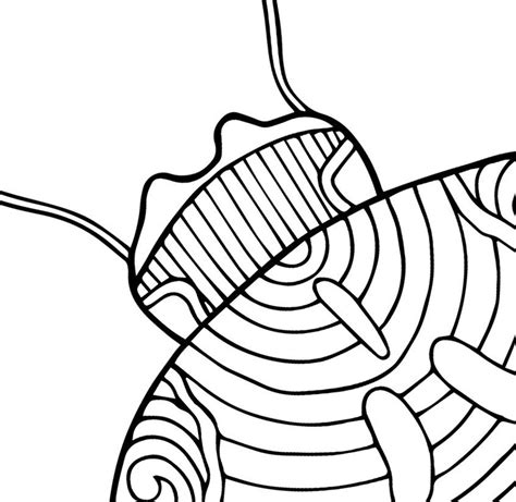 Ladybug Pdf Zentangle Coloring Page Therapy Coloring Etsy