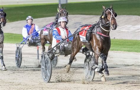 Full Steam Ahead For Potters Group 1 Winning Trotter Harness Racing