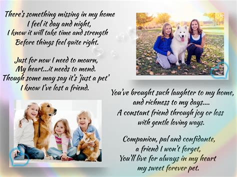 Elizabeth's IN MEMORY 🌤 - Pet Loss Pets In Heaven Pets In Memory