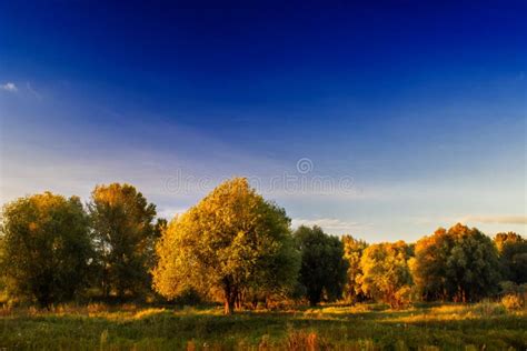 Bright Warm Autumn Landscape Stock Image Image Of Idyllic Color