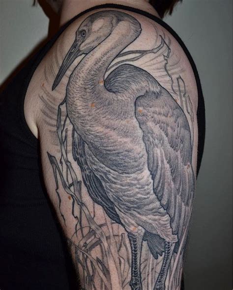 A Woman With A Tattoo On Her Arm And A Pelican In The Background