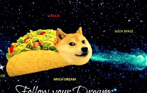 Funny Doge Meme Wallpaper