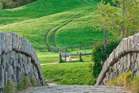 Nature Landscape Hobbiton New Zealand Stones Dirt