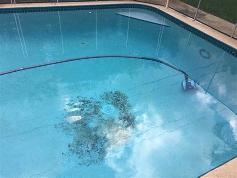 I would test it on an inconspicuous area first to make sure it doesn't harm the finish. How to Identify and Remove Pool Stains - A Very Cozy Home