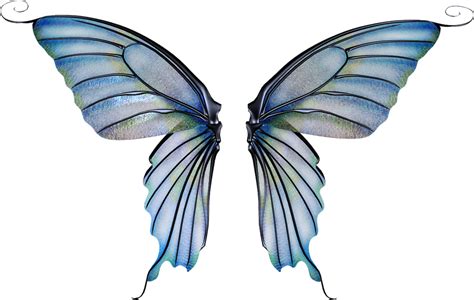 Realistic Fairy Wings Png Free Logo Image