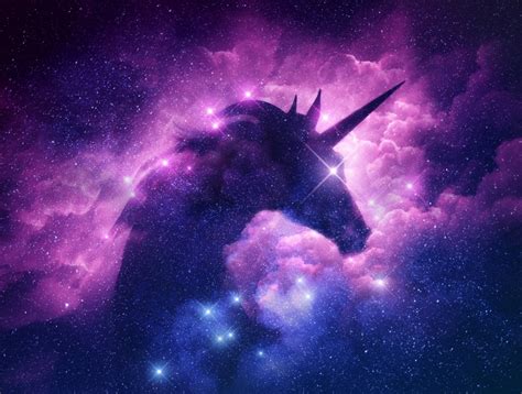 The 10 Biggest Unicorns In The World