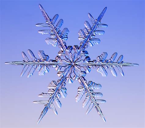 Snowflakes Photography Of Real Snow Crystals By Kenneth G