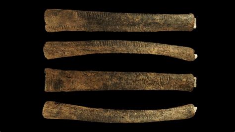 The Ishango Bone A 20000 Years Old Mathematical Enigma