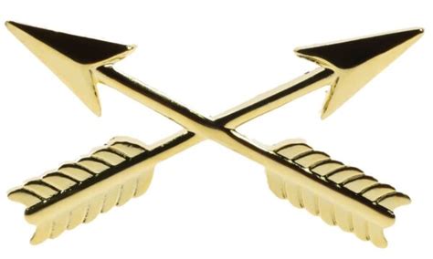 Army Branch Insignia Sf Crossed Arrows Hat Or Lapel Pin H14555d93 For