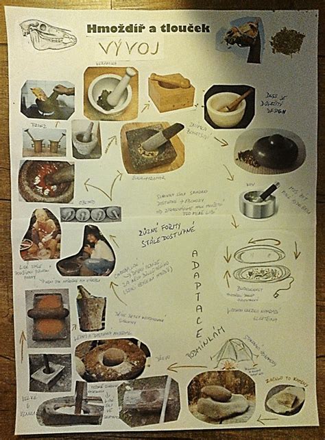Created Poster Evolution Of Mortar And Pestle Source Students Work