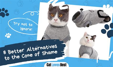 8 Better Alternatives To The Cone Of Shame