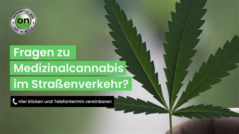 cannabis legalisierung wann unternehmen welt