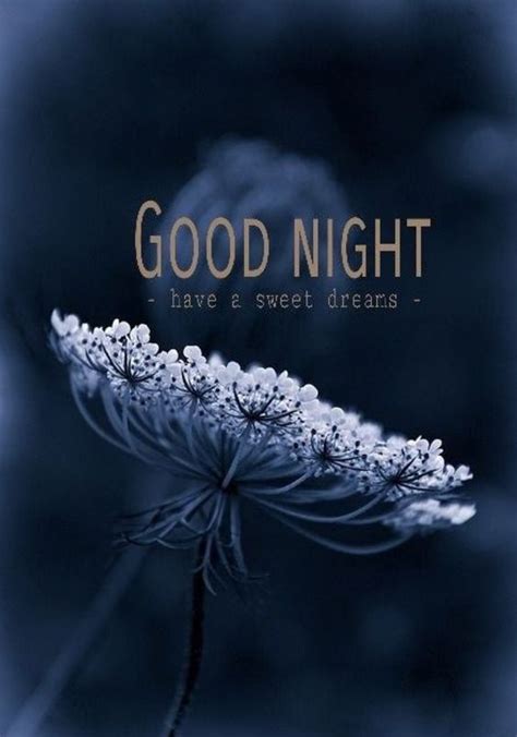 Long Goodnight Messages For Her Good Night Image Good Night Good