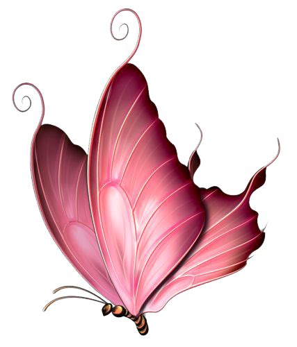 Pink Butterfly Png Image Png Mart