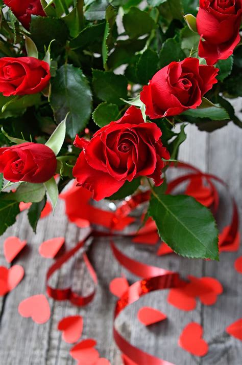 Romantic Love Rose Flowers Photos Best Flower Site