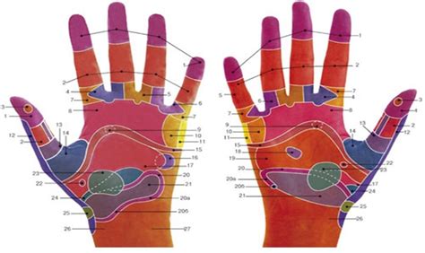 Точки на руках отвечающие за органы тела человека фото с описанием