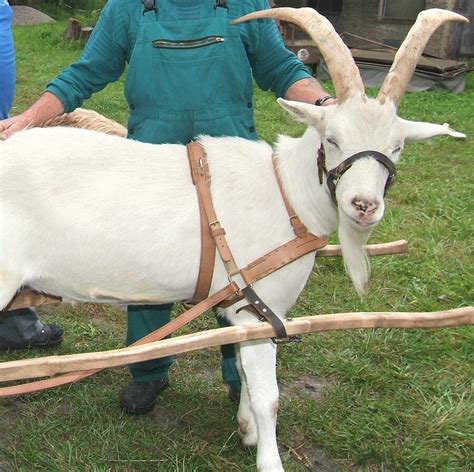 Gemeinsam finden wir eine lösung. Seelow - Zickenseelow
