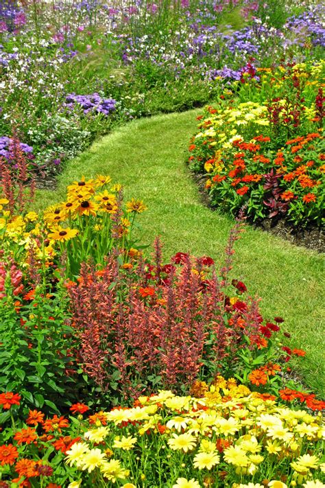 20 Easy Landscaping Ideas For Your Front Yard Wildflower Garden