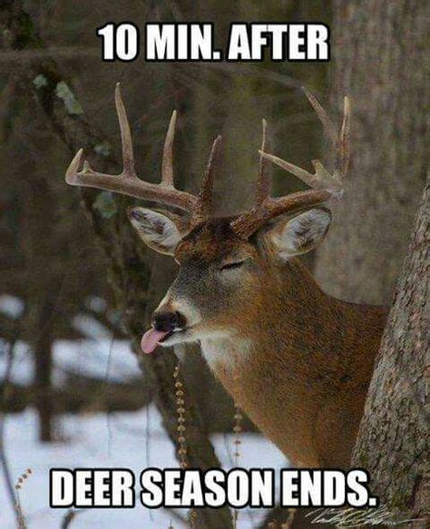 Funny Deer Quotes Ideas Funny Deer Hunting Humor Hunting Memes