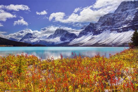 下载壁纸 网状的季节 弓湖 冰原大道 班夫国家公园（banff National Park） 阿尔伯塔 免费为您的桌面分辨率的壁纸